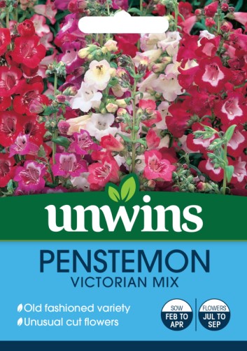 Penstemon Victorian Mix Seeds